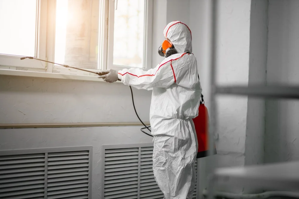 Professional mold remediation services in Powderly, KY